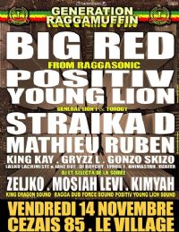Concert Positiv young lion big red straika d. Du 14 au 15 novembre 2014 à Cezais. Vendee.  22H00